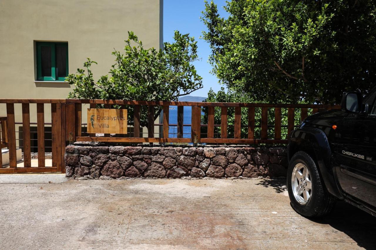 Eucalyptus Villa Aegina Ngoại thất bức ảnh